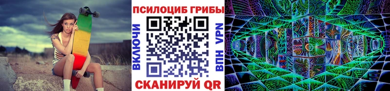Купить закладки  Славгород  Псилоцибиновые грибы ЛСД 