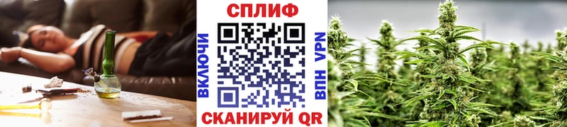 Купить закладки  Славгород  МАРИХУАНА ГИДРОПОН 